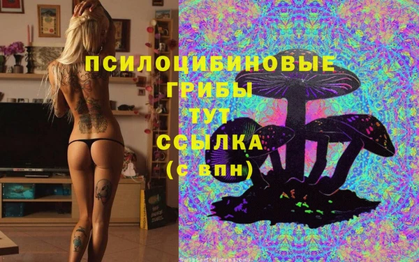 хмурый Балабаново