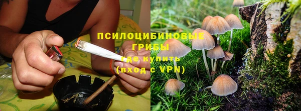 стафф Балахна