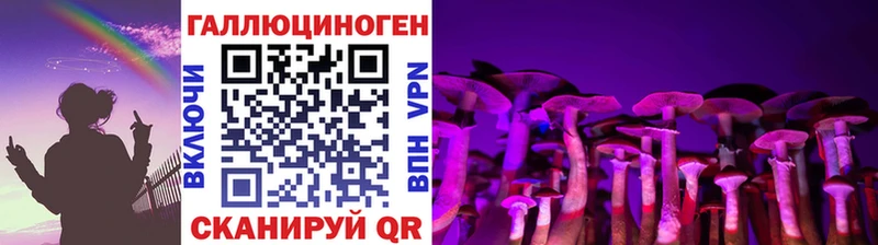 ссылка на мегу ТОР  купить  цена  Верея  Псилоцибиновые грибы ЛСД 
